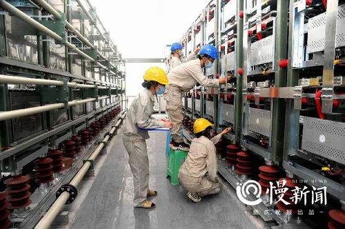 国网重庆“头号工程”本月底投用，为度夏电力供应保驾护航